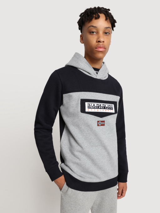 Худи и свитшоты Napapijri Burgee 1 модель NP0A4FW1MADS Фото
