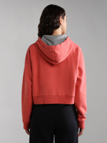 Худи и свитшоты Napapijri Burgee Crop модель NP0A4GKJPP3S Фото