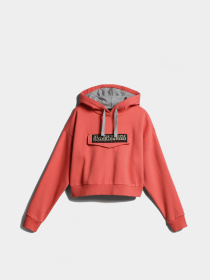 Худи и свитшоты Napapijri Burgee Crop модель NP0A4GKJPP3S Фото