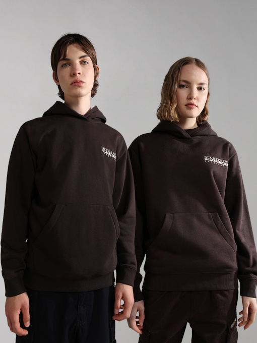 Худи и свитшоты Napapijri B-Freestyle H модель NP0A4GLXWA9S Фото