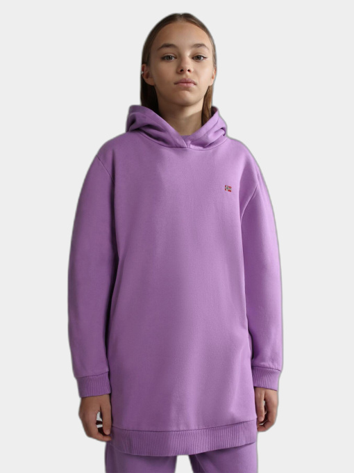 Худи и свитшоты Napapijri Balis H Violet Pansy модель NP0A4GMRV1B1 Фото