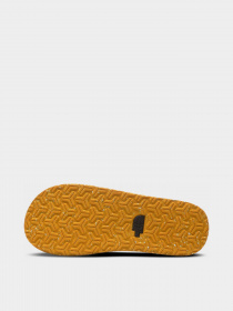 Шлёпанцы The North Face Base Camp Flip-Flop II модель NF0A47AAZU31 Фото