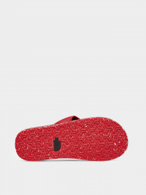Шльопанці The North Face Base Camp Flip-Flop II модель NF0A47AAKZ31 Фото