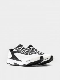 Кроссовки The North Face Vectiv Taraval модель NF0A52Q1LG51 Фото