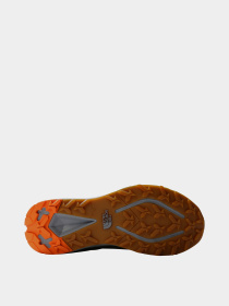 Кроссовки The North Face модель NF0A7W4Z79K1 Фото