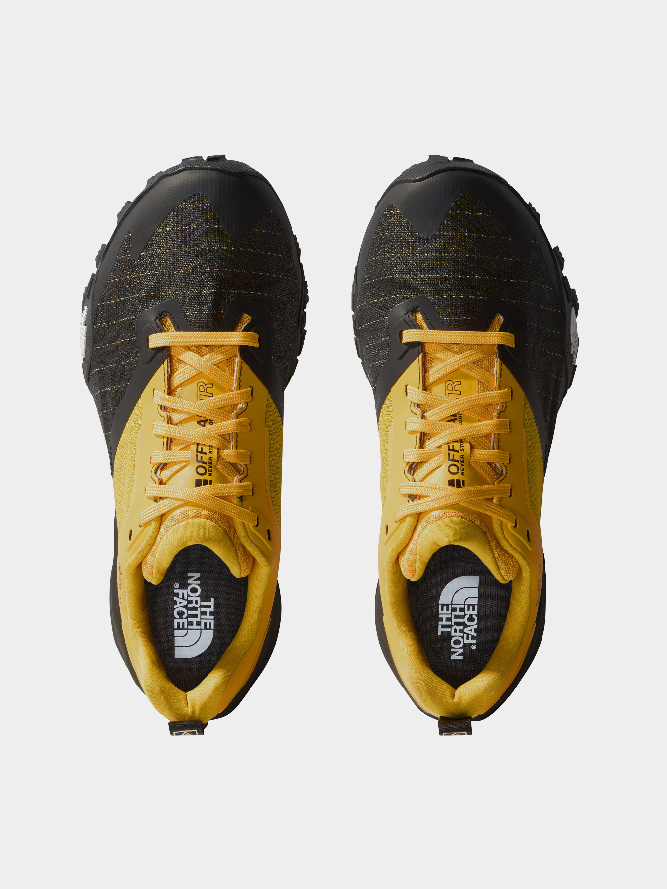 Кроссовки The North Face Offtrail TR Gore-tex модель NF0A8A9XZU31 Фото