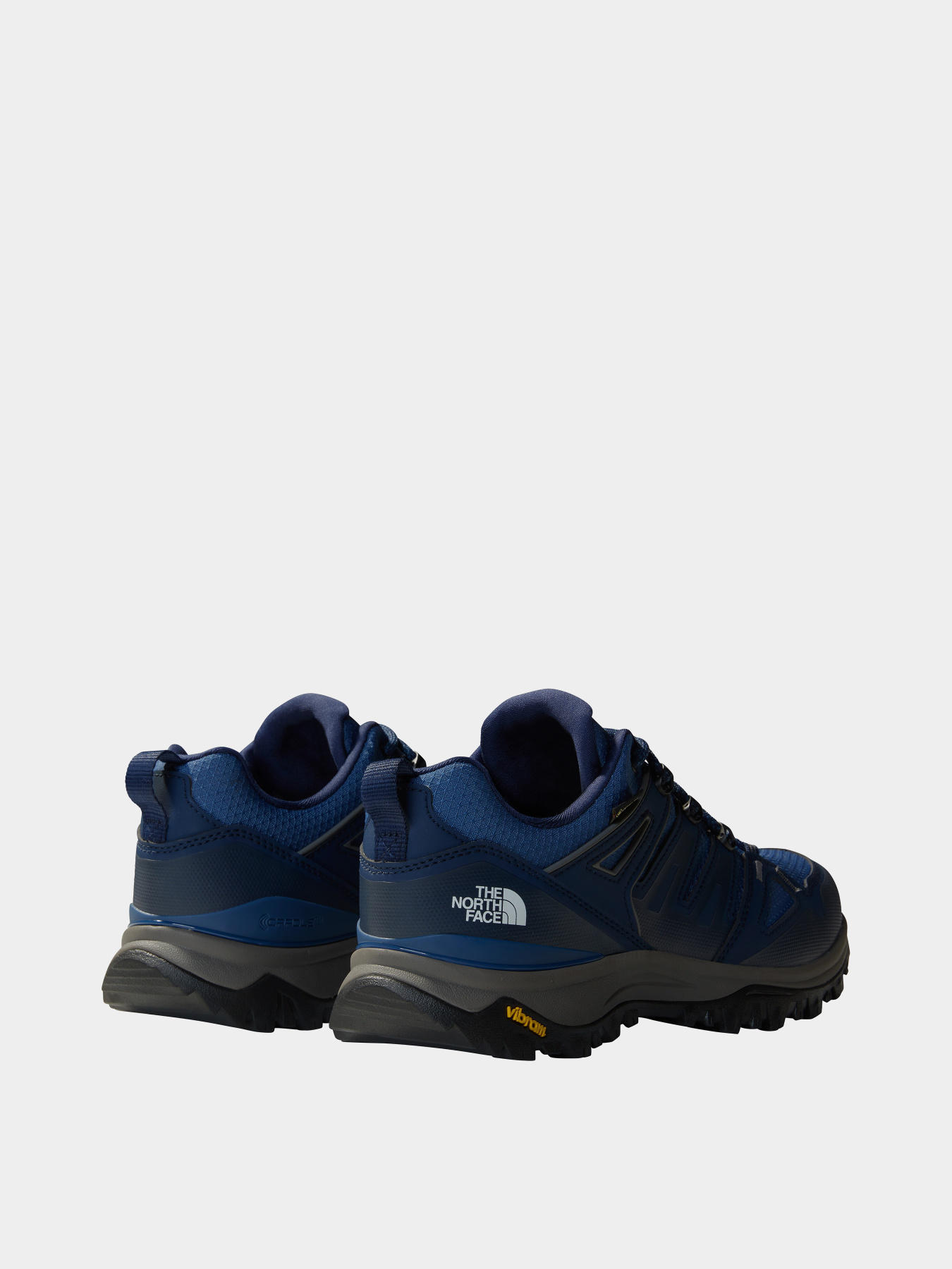 Кроссовки The North Face Hedgehog Gore-Tex модель NF0A8AA958I1 Фото
