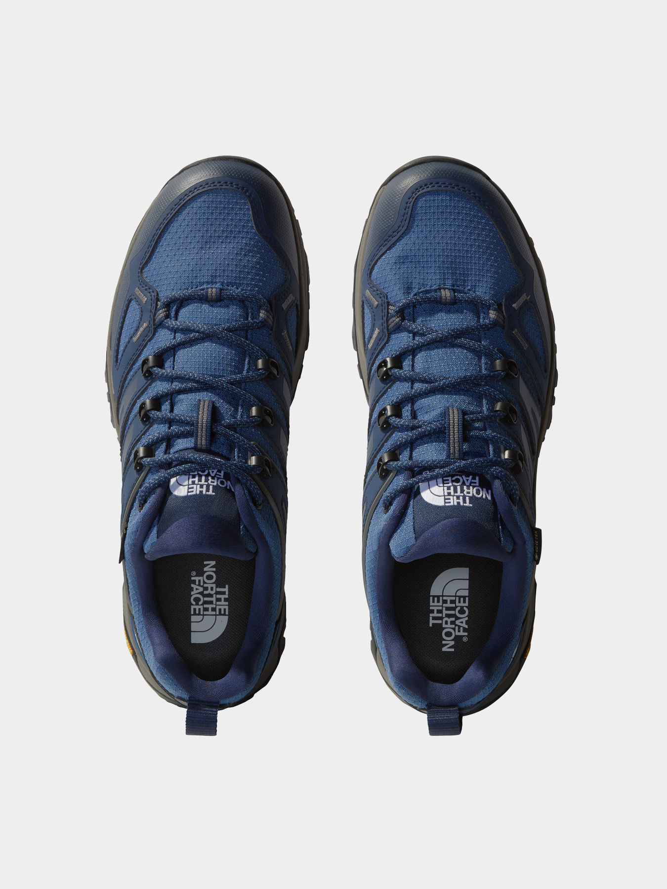 Кроссовки The North Face Hedgehog Gore-Tex модель NF0A8AA958I1 Фото