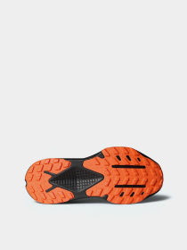 Кроссовки The North Face модель NF0A83N3F381 Фото