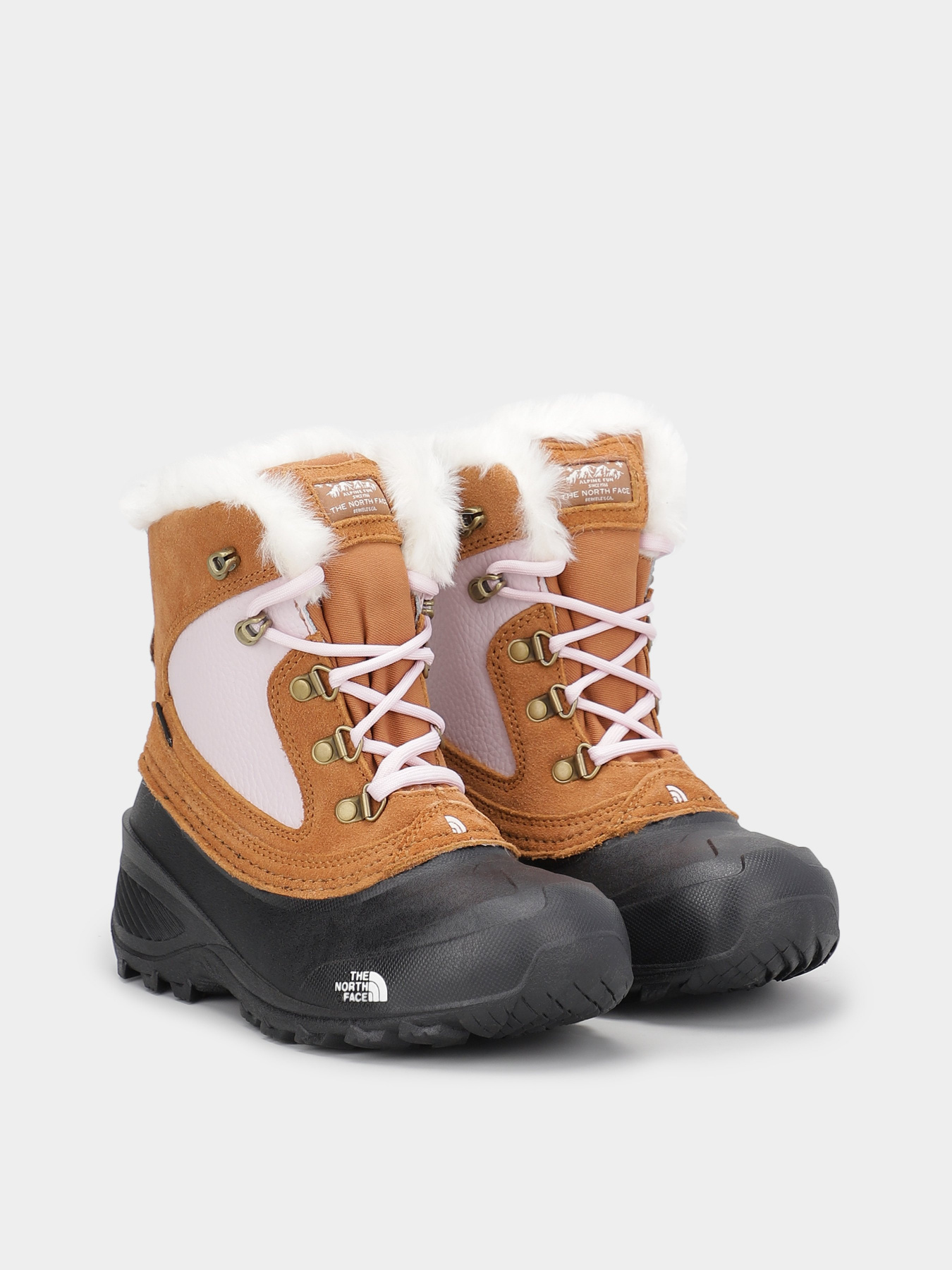 Ботинки и сапоги The North Face Shellista Extreme модель NF0A2T5V9ZW1 Фото