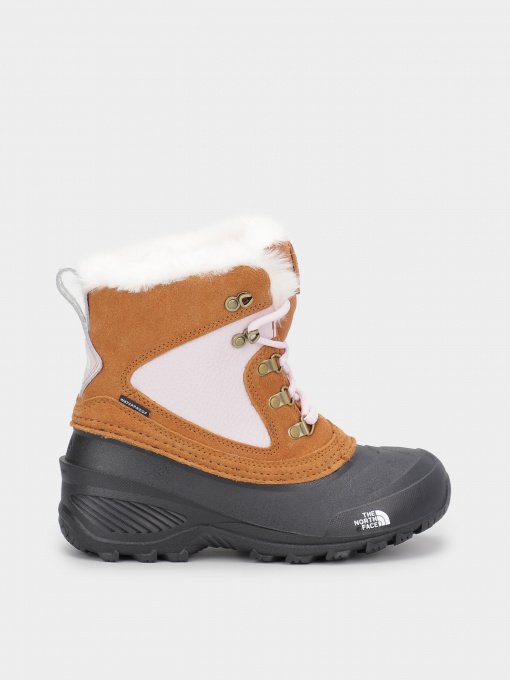 Ботинки и сапоги The North Face Shellista Extreme модель NF0A2T5V9ZW1 Фото