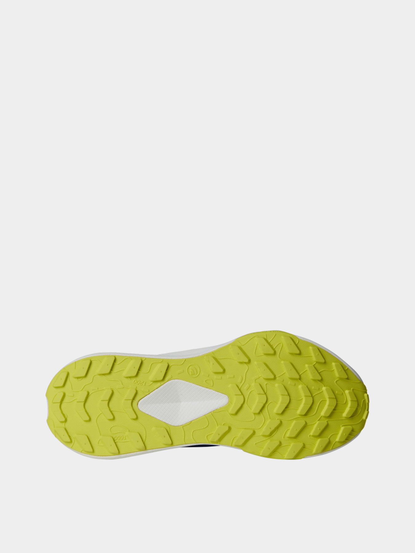 Кроссовки The North Face Altamesa модель NF0A83O473K1 Кроссовки The North Face Altamesa модель NF0A83O473K1 Фото