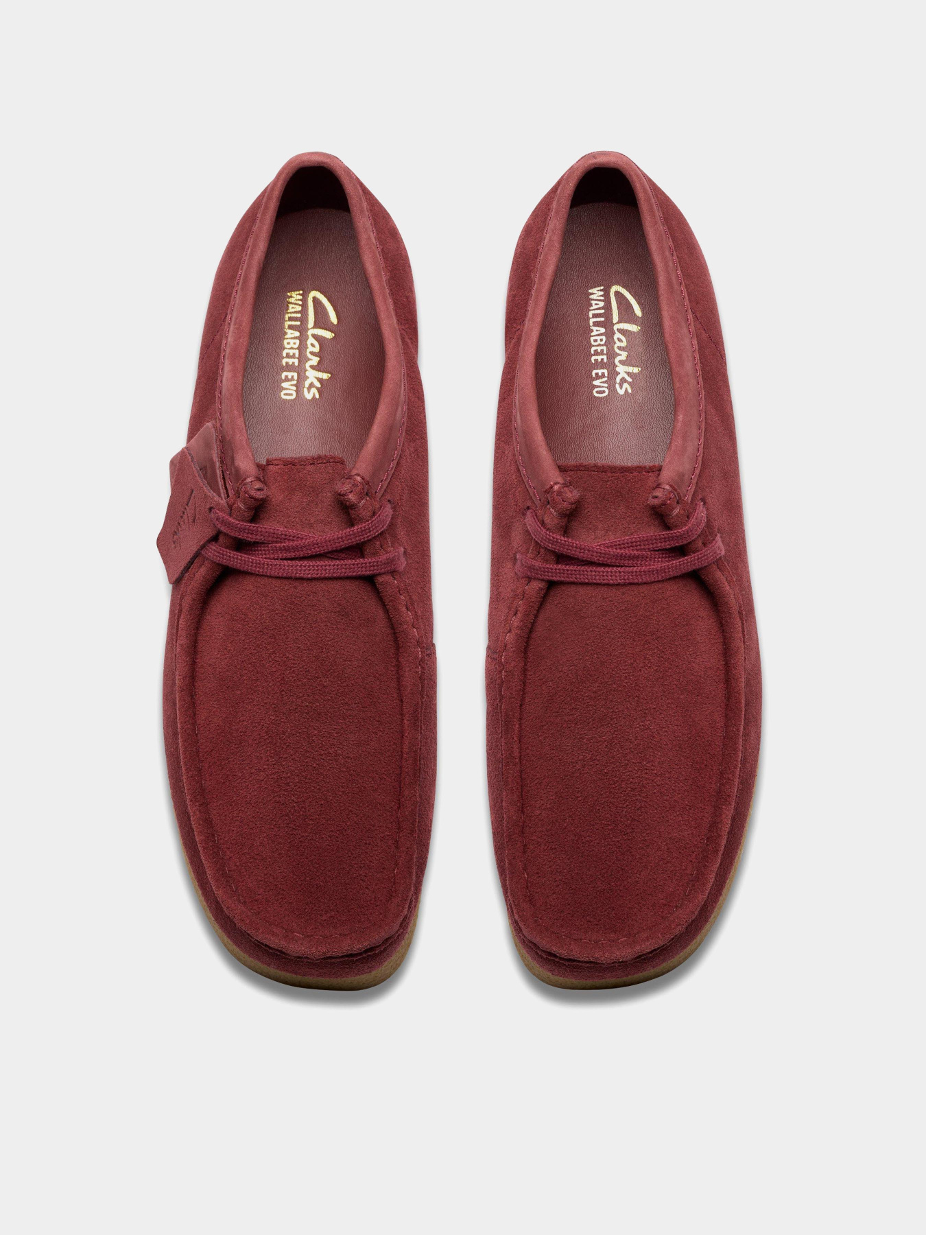 Туфлі та лофери Clarks модель 26183445 Фото
