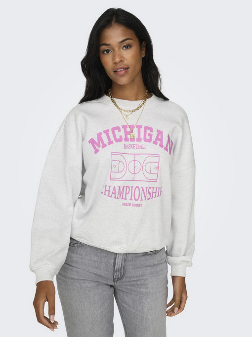 Худи и свитшоты Only модель 15329800_Light Grey Melange Champio Фото