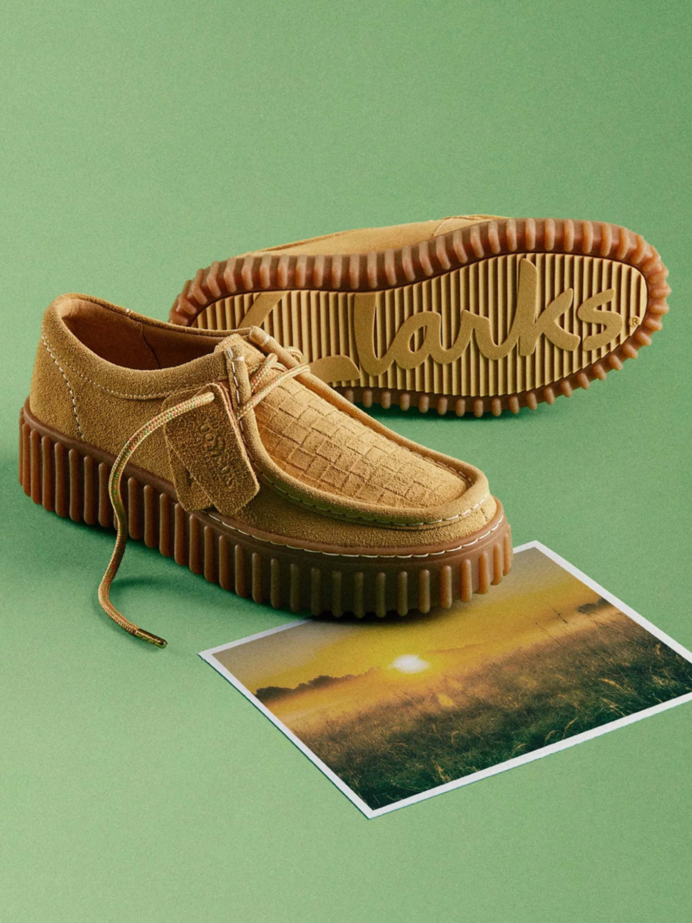 Туфли и лоферы Clarks Torhill Bee модель 26181188 Фото