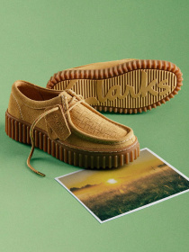 Туфли и лоферы Clarks Torhill Bee модель 26181188 Фото