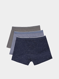 Нижня білизна Penti модель PLW0J14H25IY-MIX Фото