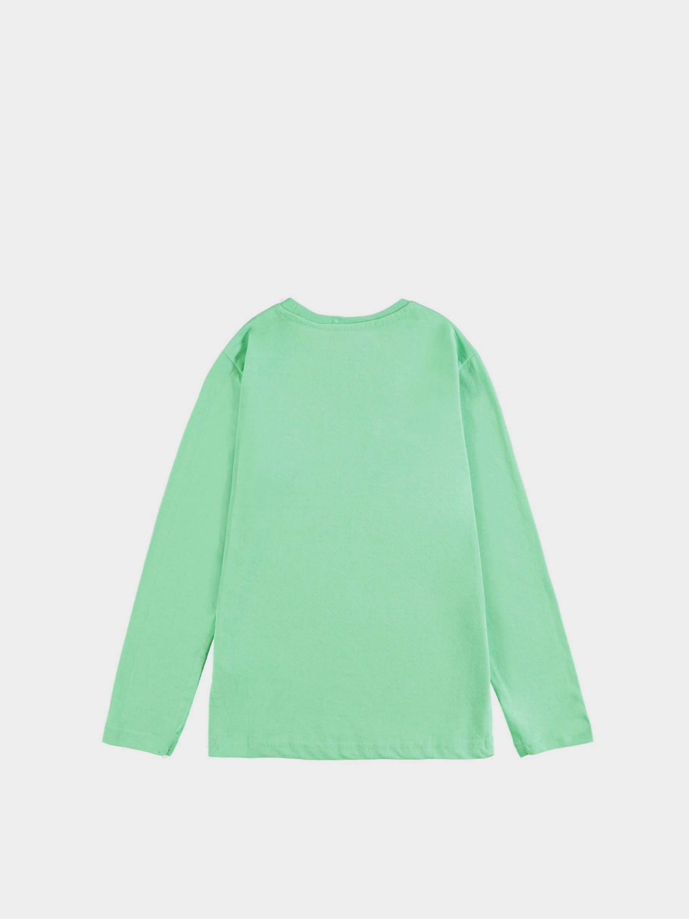 Худи и свитшоты Piazza Italia модель 56076_green Худи и свитшоты Piazza Italia модель 56076_green Фото
