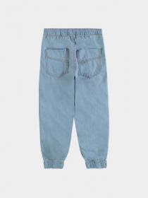 Брюки Piazza Italia модель 57048_light denim Фото