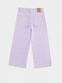 Брюки Piazza Italia модель 55477_lilac Фото