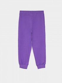 Штани Piazza Italia модель 56075_violet Фото