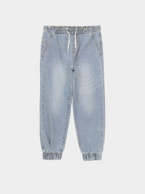 Брюки Piazza Italia модель 07702_light denim Фото