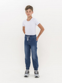 Брюки Piazza Italia модель 07702_dark denim Фото
