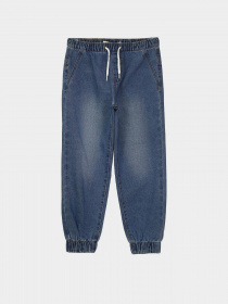 Брюки Piazza Italia модель 07702_dark denim Фото
