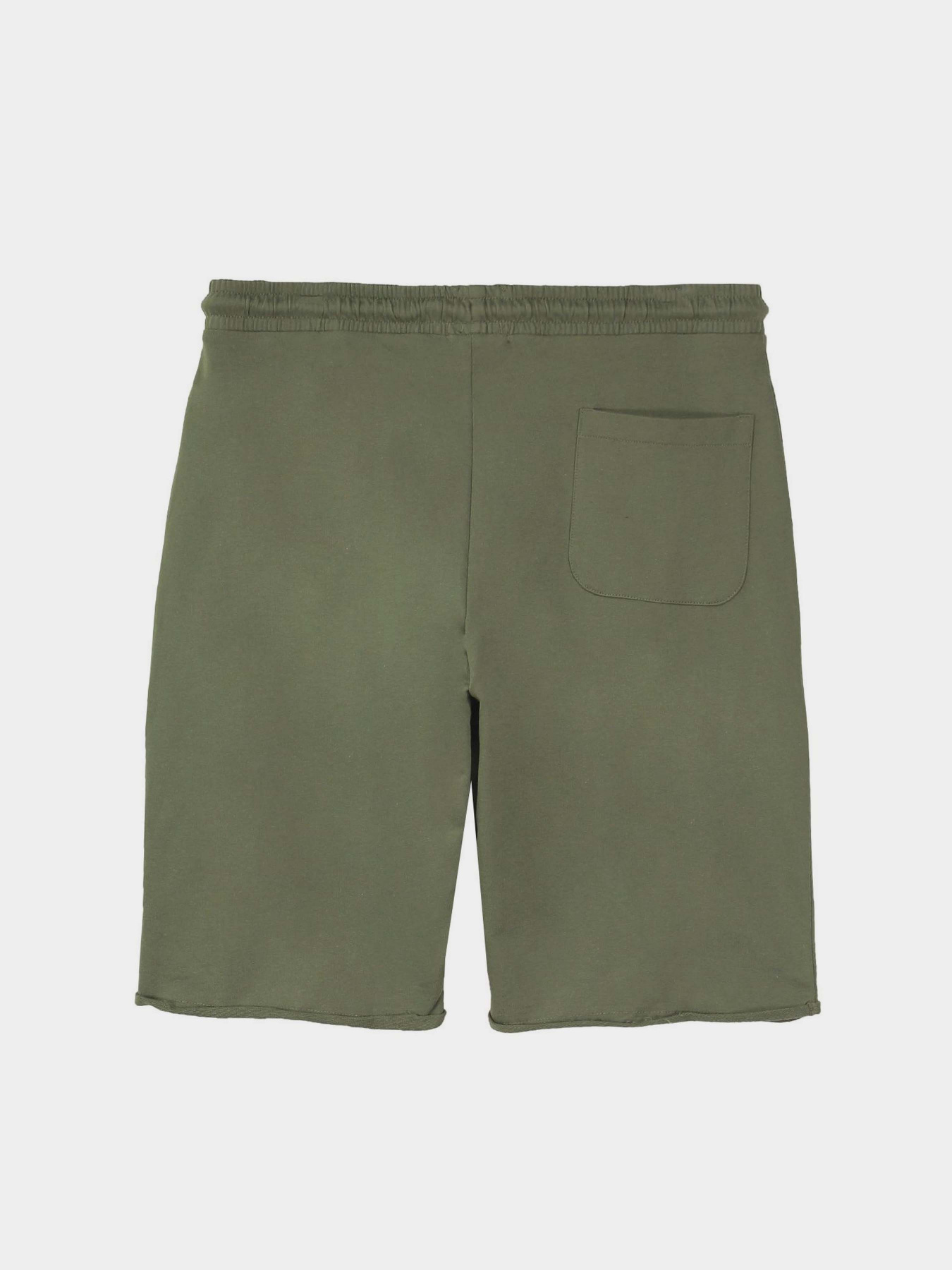 Шорты Piazza Italia модель 87439_army Шорты Piazza Italia модель 87439_army Фото