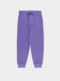 Штани Piazza Italia модель 07521_violet Фото