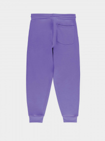Штани Piazza Italia модель 07521_violet Фото