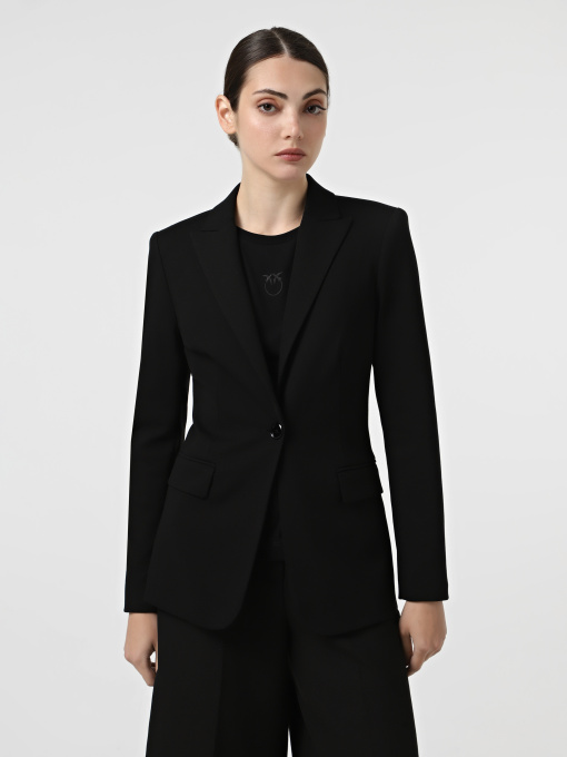 Пиджаки PINKO New Signum модель 104903-A24C Z99 Фото