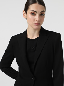 Піджаки PINKO New Signum модель 104903-A24C Z99 Фото