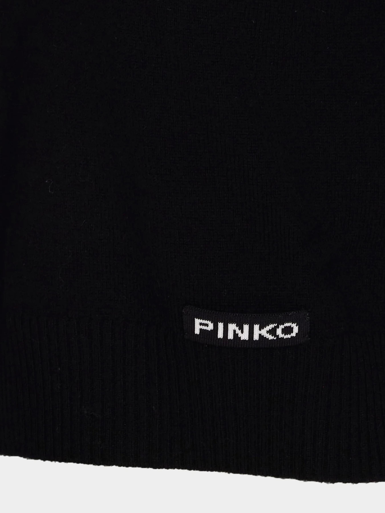 Футболки и поло PINKO Gorgona модель 105450-A2Q9 Z99 Футболки и поло PINKO Gorgona модель 105450-A2Q9 Z99 Фото