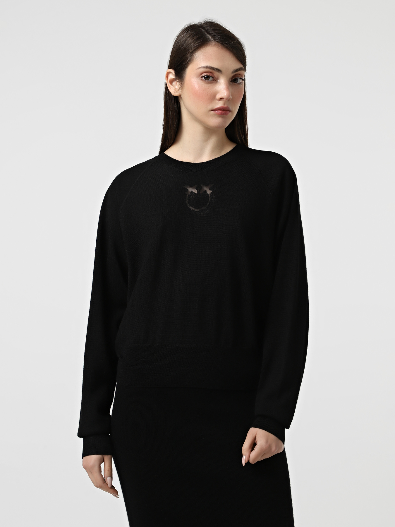 Худі та світшоти PINKO Lanzarote модель 105417-A18M Z99 Фото