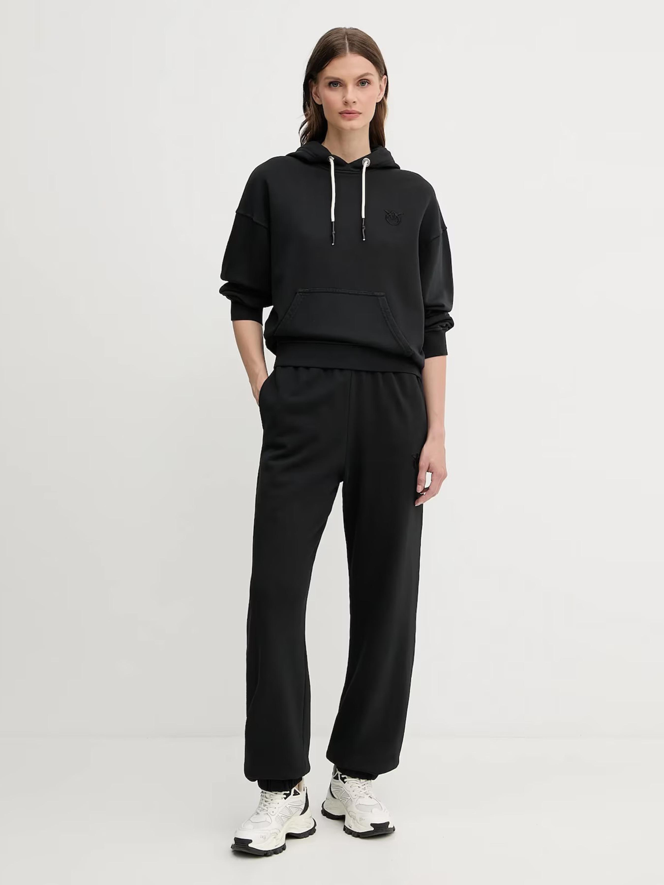 Худи и свитшоты PINKO Melato модель 105507-A2RB Z99 Фото