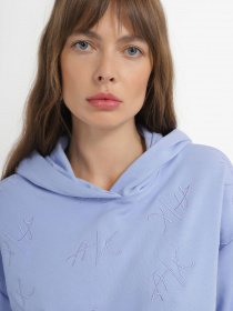 Худі та світшоти Armani Exchange модель 3RYM73-YJDSZ-15CN Фото