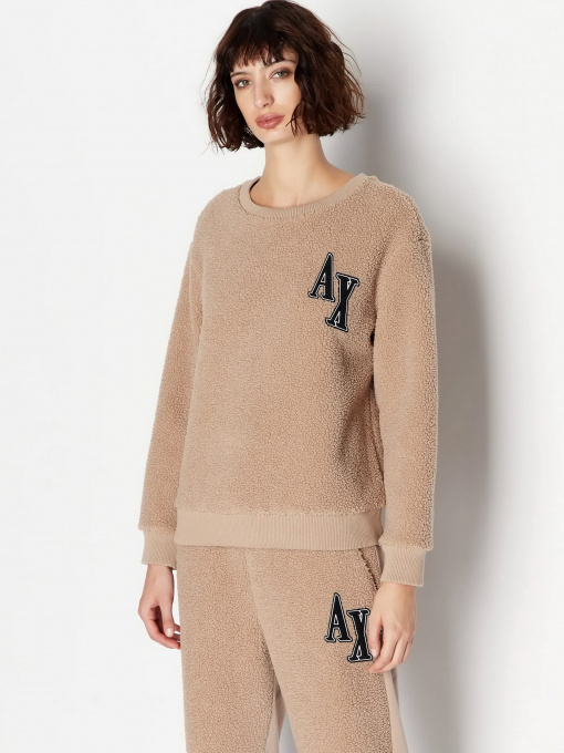 Худи и свитшоты Armani Exchange Campus модель 6RYM44-YJFAZ-0748 Фото