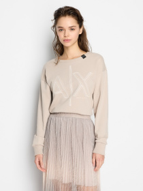 Худі та світшоти Armani Exchange модель 3DYM11-YJEBZ-1786 Фото