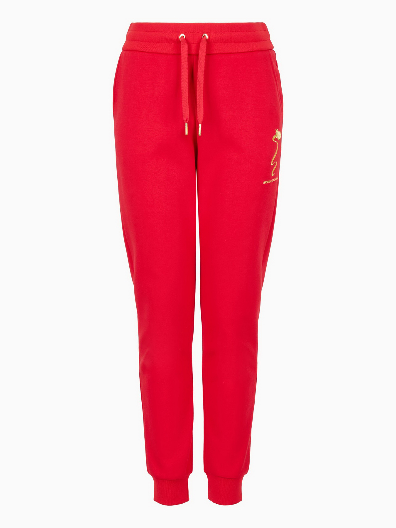 Брюки Armani Exchange Chinese New Year модель 3DYP40-YJU1Z-1469 Фото