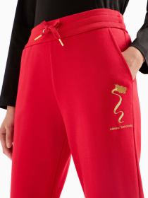 Брюки Armani Exchange Chinese New Year модель 3DYP40-YJU1Z-1469 Фото