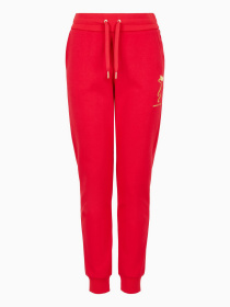 Брюки Armani Exchange Chinese New Year модель 3DYP40-YJU1Z-1469 Фото