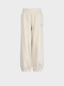 Брюки Armani Exchange модель 3DYP70-YJFFZ-1787 Фото