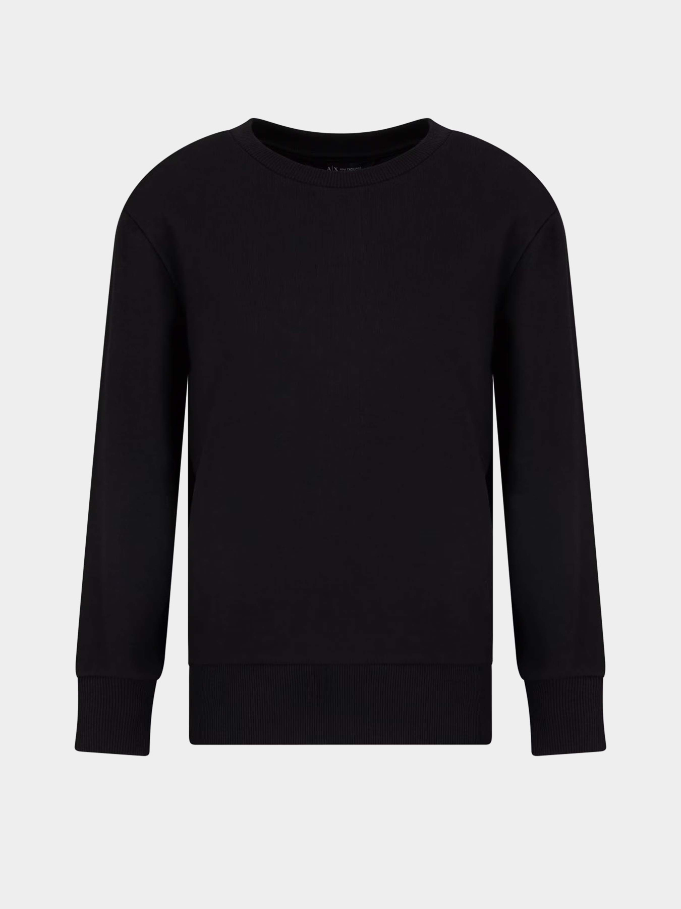 Худі та світшоти Armani Exchange модель XW000499-AF12804-UC001 Худі та світшоти Armani Exchange модель XW000499-AF12804-UC001 Фото