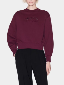 Худи и свитшоты Armani Exchange модель XW000747-AF16114-UA343 Фото