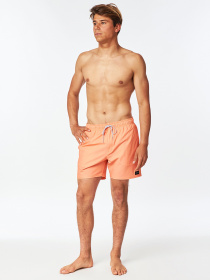 Одежда для пляжа Rip Curl Daily Volley модель CBOVE4-4630 Фото