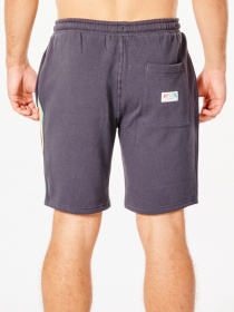 Шорти Rip Curl SURF Revival Volley модель CWAOF9-8264 Фото