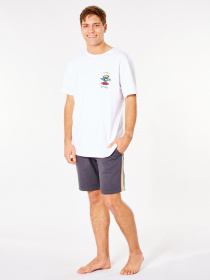 Шорти Rip Curl SURF Revival Volley модель CWAOF9-8264 Фото