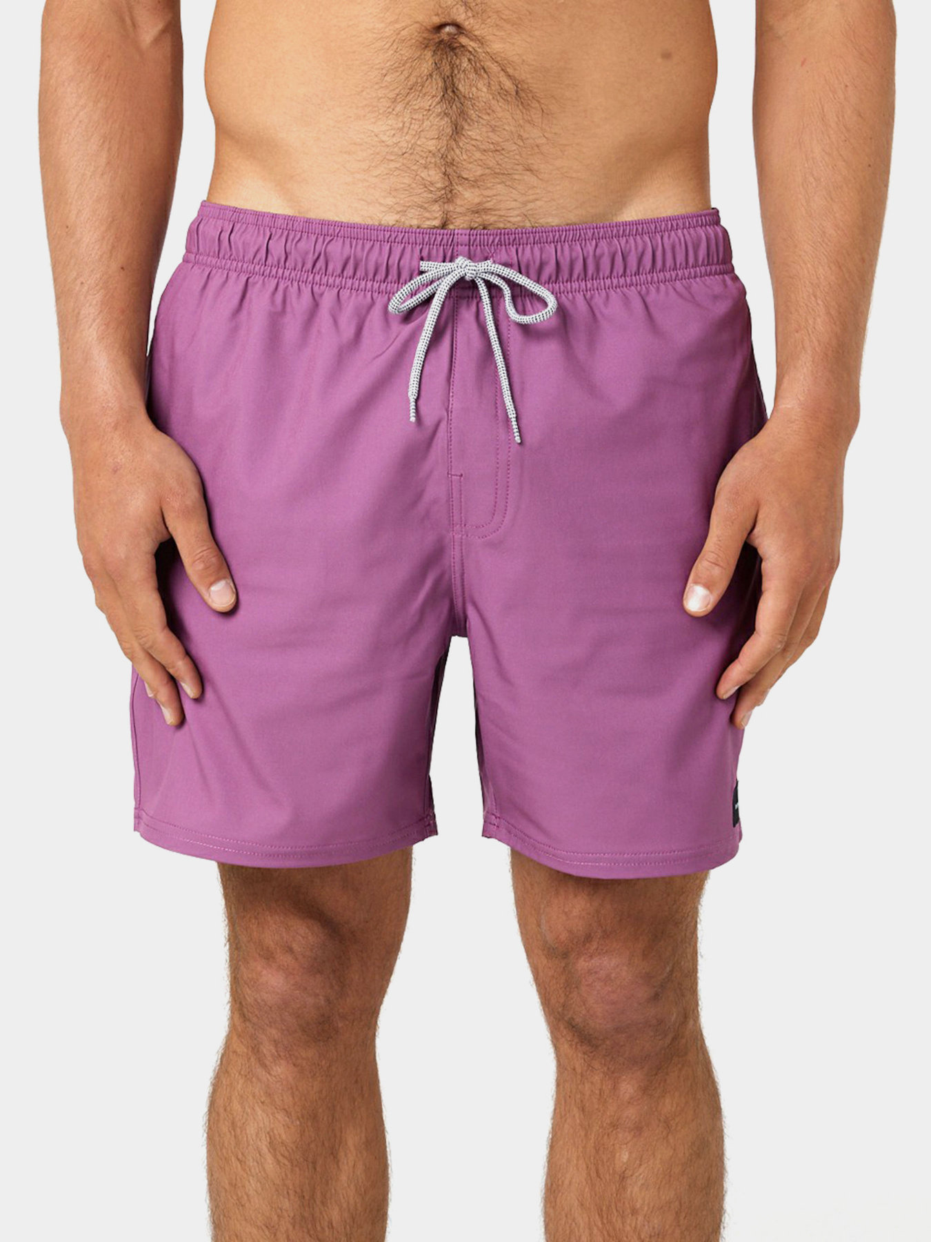 Одяг для пляжу Rip Curl Daily Volley модель 04FMBO-9788 Фіолетовий Одяг для пляжу Rip Curl Daily Volley модель 04FMBO-9788 Фіолетовий Фото