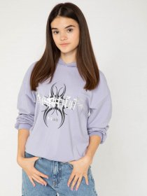 Худи и свитшоты Reporter Young модель 233-0551G-34-670-1 Фото